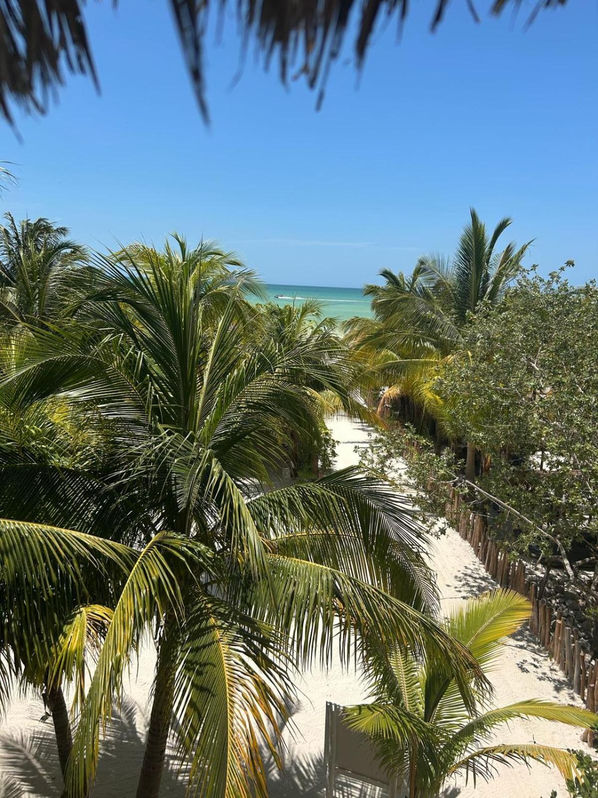 Hotelito Crismi 3* Isla Holbox