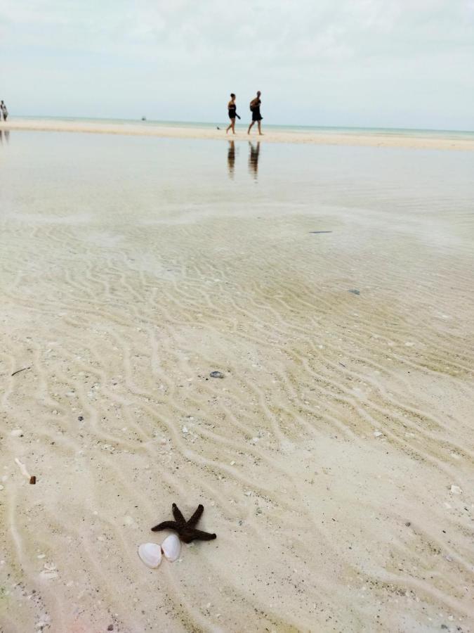 Hotel Hotelito Crismi Ilha Holbox
